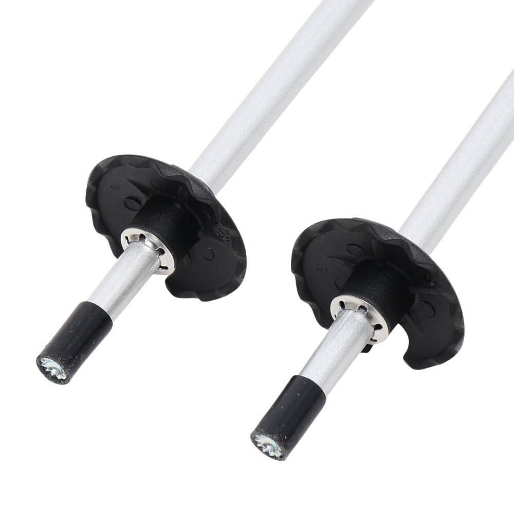 シナノ（SINANO）（メンズ、レディース）スキーポール 25ー26 フリーX AL SV