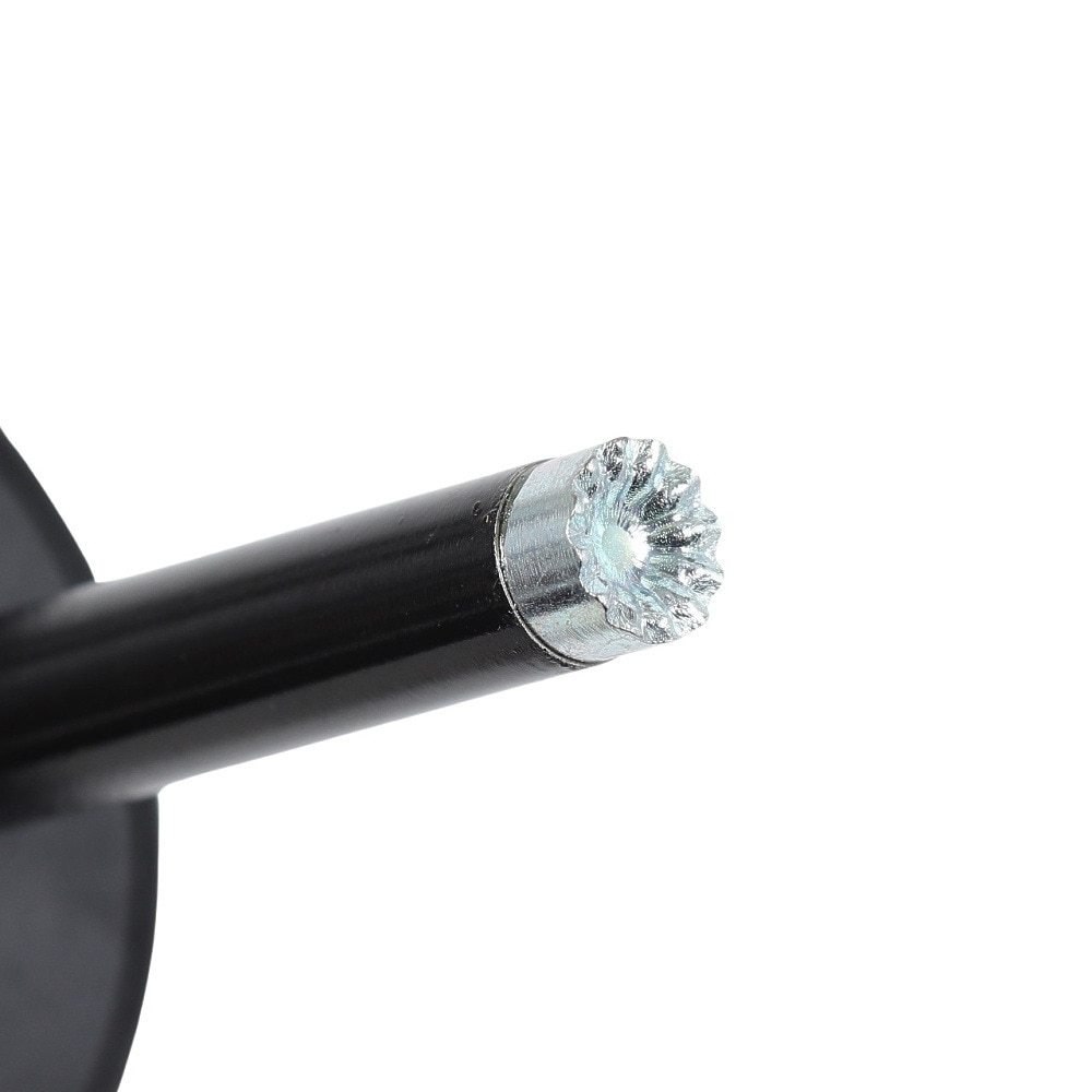 サロモン（SALOMON）（メンズ、レディース）スキーポール ARCTIC LADY 21 411740