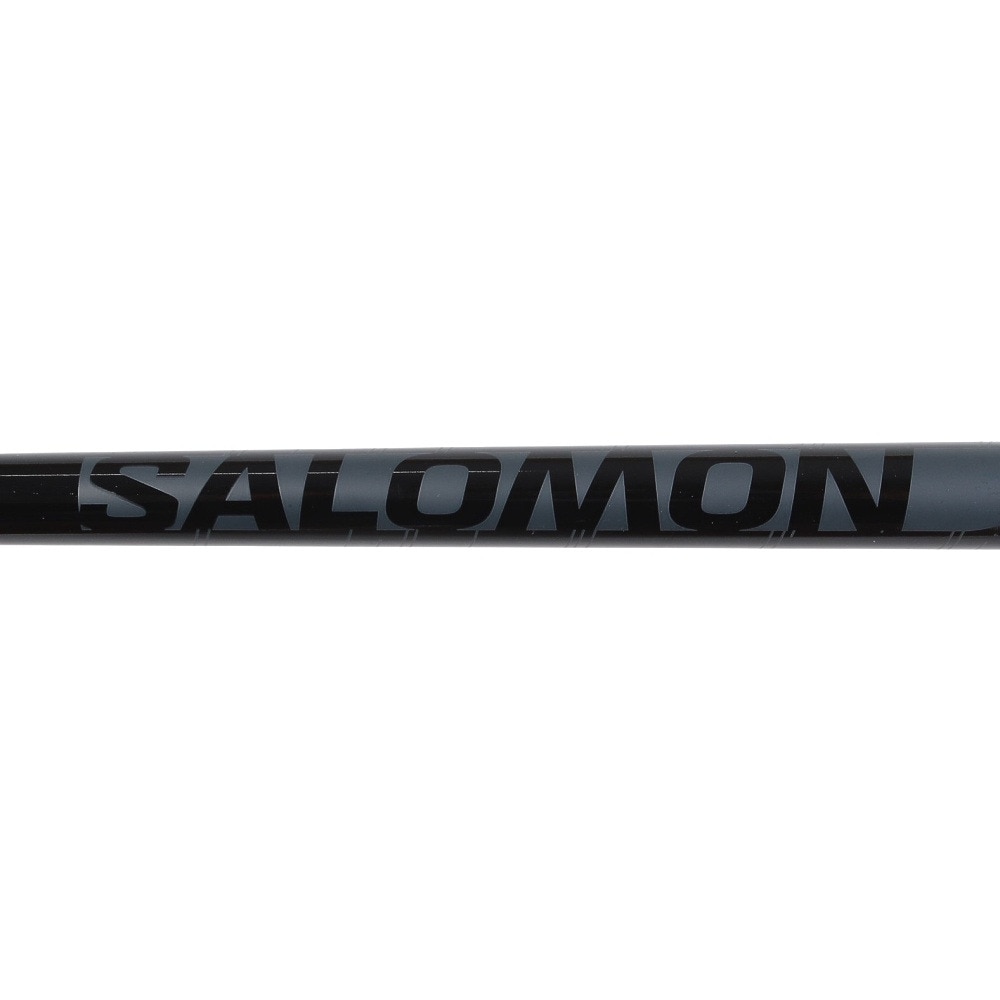 サロモン（SALOMON）（メンズ、レディース）スキーポール ARCTIC LADY 21 411740