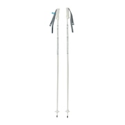 (メンズ、レディース、キッズ)スキーポール イーグル WT 115cm