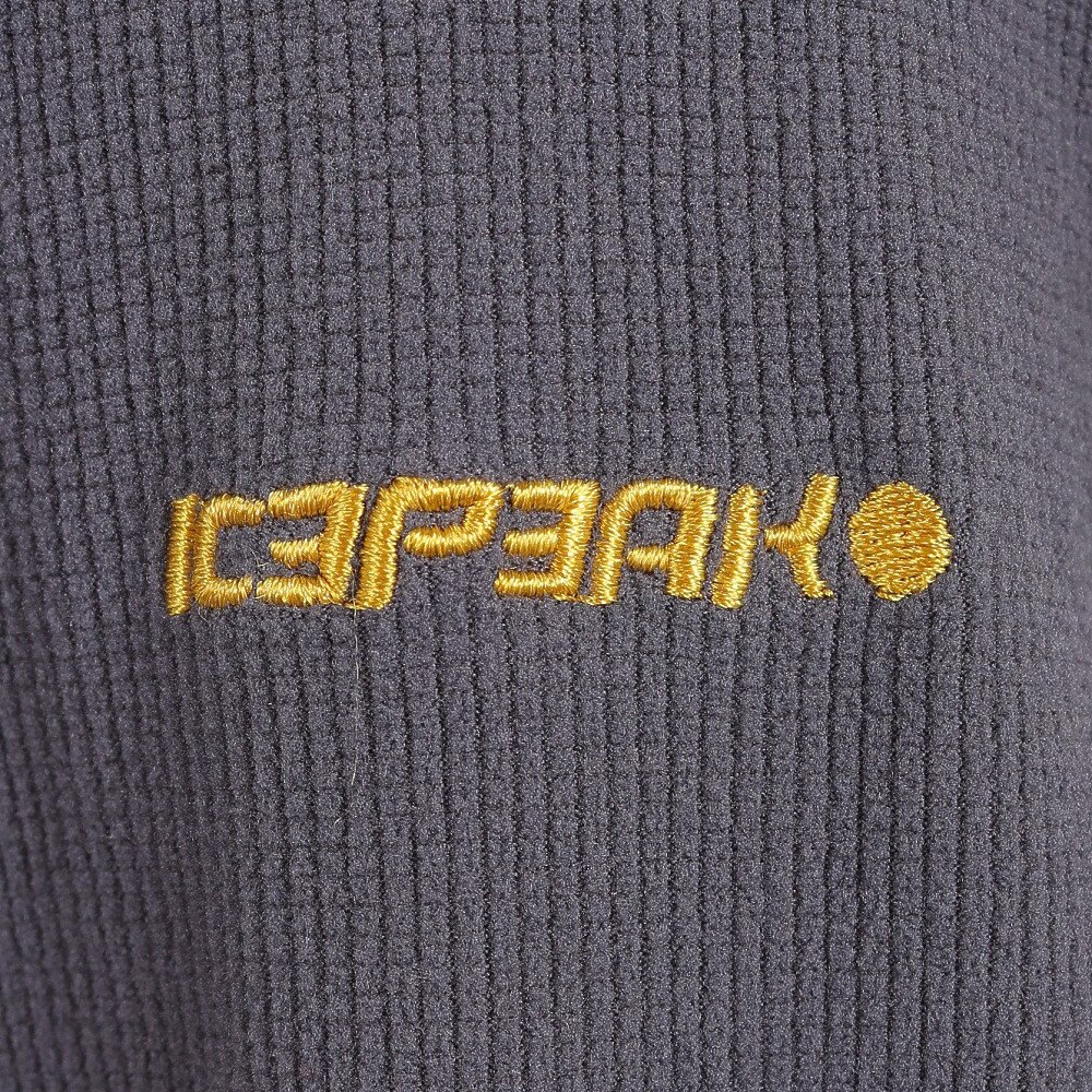 ＩＣＥＰＥＡＫ（メンズ）スキーウェア スキー スノーボード スノボ フリース メンズ BEVINGTON 857840648270