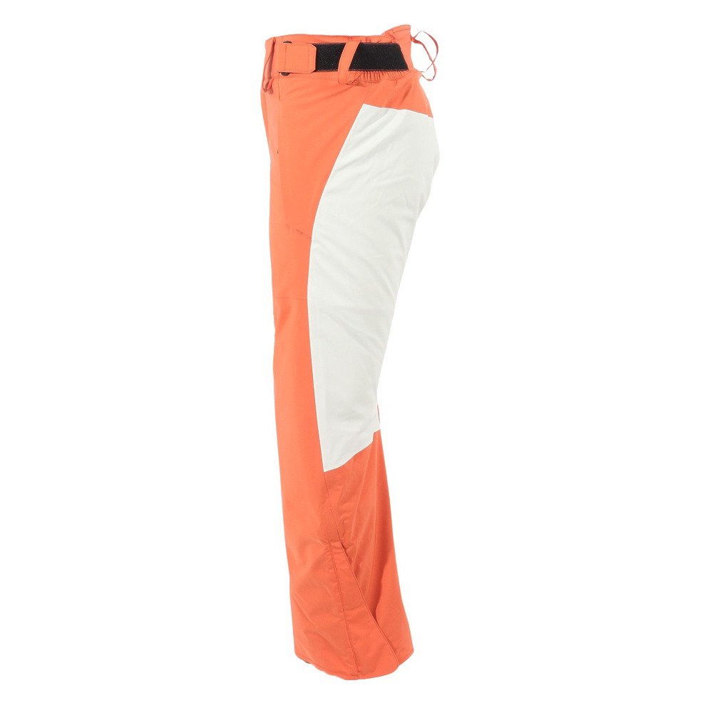 ミズノ（MIZUNO）（メンズ、レディース）スキーウェア パンツ FREE SKI SOLID PANTS Z2MFA34055