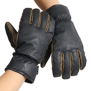 (メンズ)スノーグローブ 五指グローブ 22LVG-GTV-06 ゴアテックス GORE-TEX