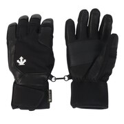デサント(DESCENTE)(メンズ)スキーグローブ DWBWJD66 BLK