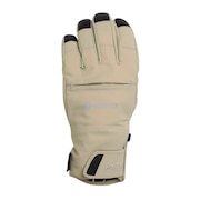フェニックス（PHENIX）（メンズ）スキー スノーボード グローブ Thunderbolt Gloves ESM23GL10 BEIGE