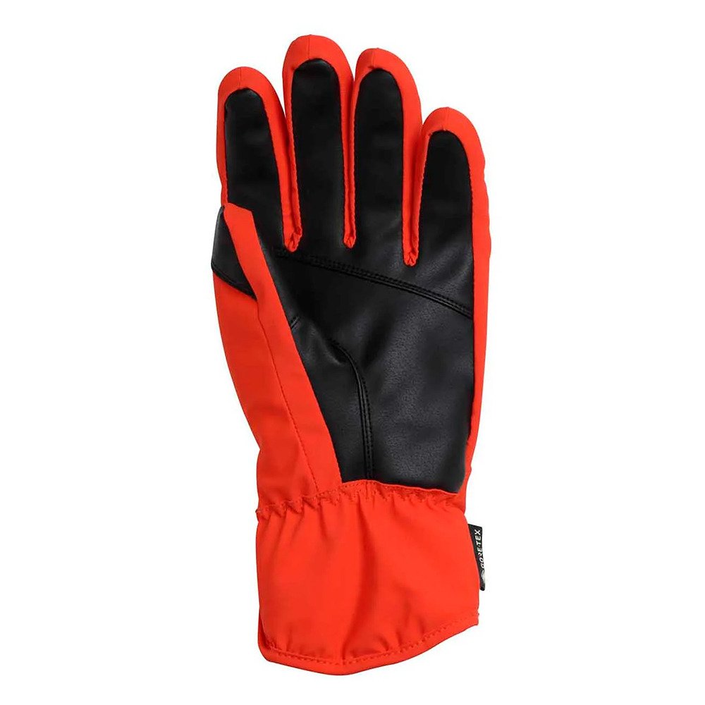 フェニックス（PHENIX）（メンズ）スキー スノーボード グローブ Thunderbolt Gloves ESM23GL10 ORANGE