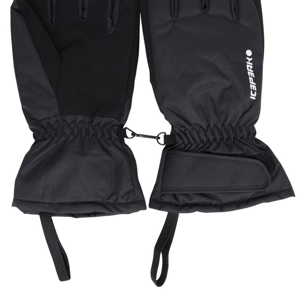 アイスピーク（icepeak）（メンズ）ウインター五指グローブ HAYDEN 58850 564 990