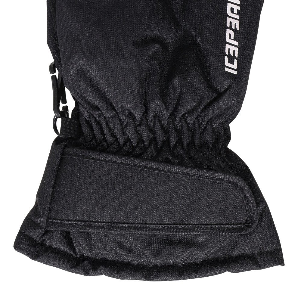 アイスピーク（icepeak）（メンズ）ウインター五指グローブ HAYDEN 58850 564 990