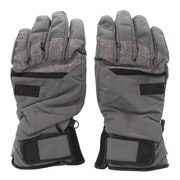 その他ブランド（OTHER BRAND）（メンズ）スキー スノーボード グローブ 手袋 メンズ PROGROSS 325P1SN5006 GRY 手袋