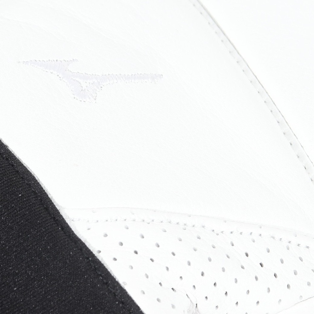 ミズノ（MIZUNO）（メンズ）LEATHER 5フィンガーグローブ Z2JYA50101