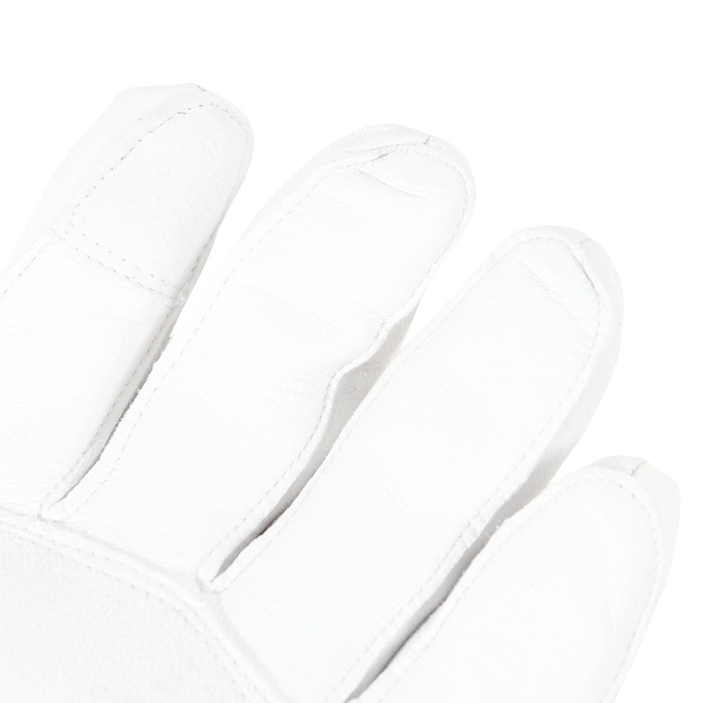 ミズノ（MIZUNO）（メンズ）LEATHER 5フィンガーグローブ Z2JYA50101