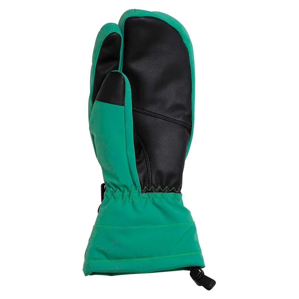 フェニックス（PHENIX）（メンズ）スキー スノーボード グローブ ミトン Time Space Gloves ESM23GL11 GREEN