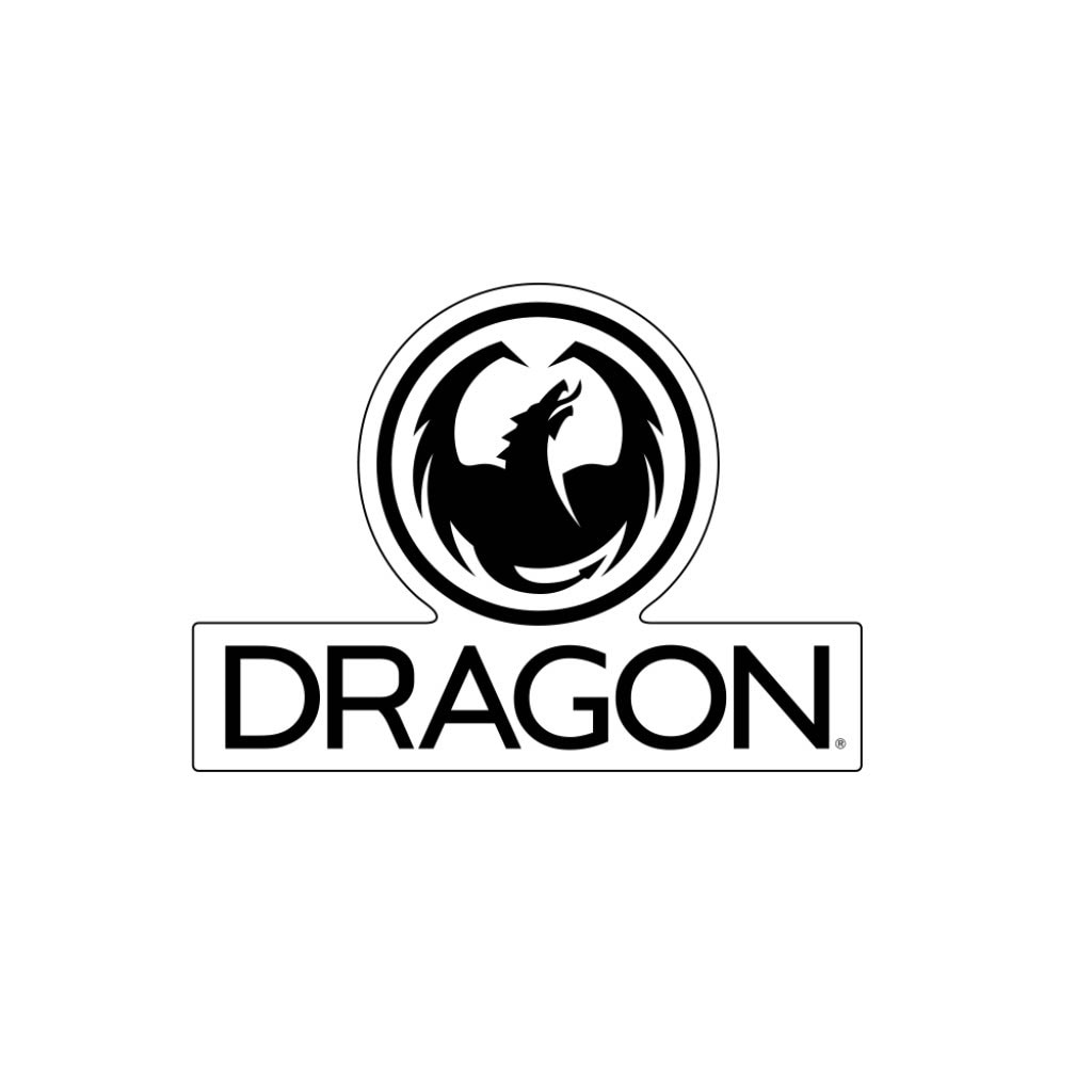 ドラゴン（メンズ）ウインターゴーグル 22 E03 D3 PR BK/LLJGREEN