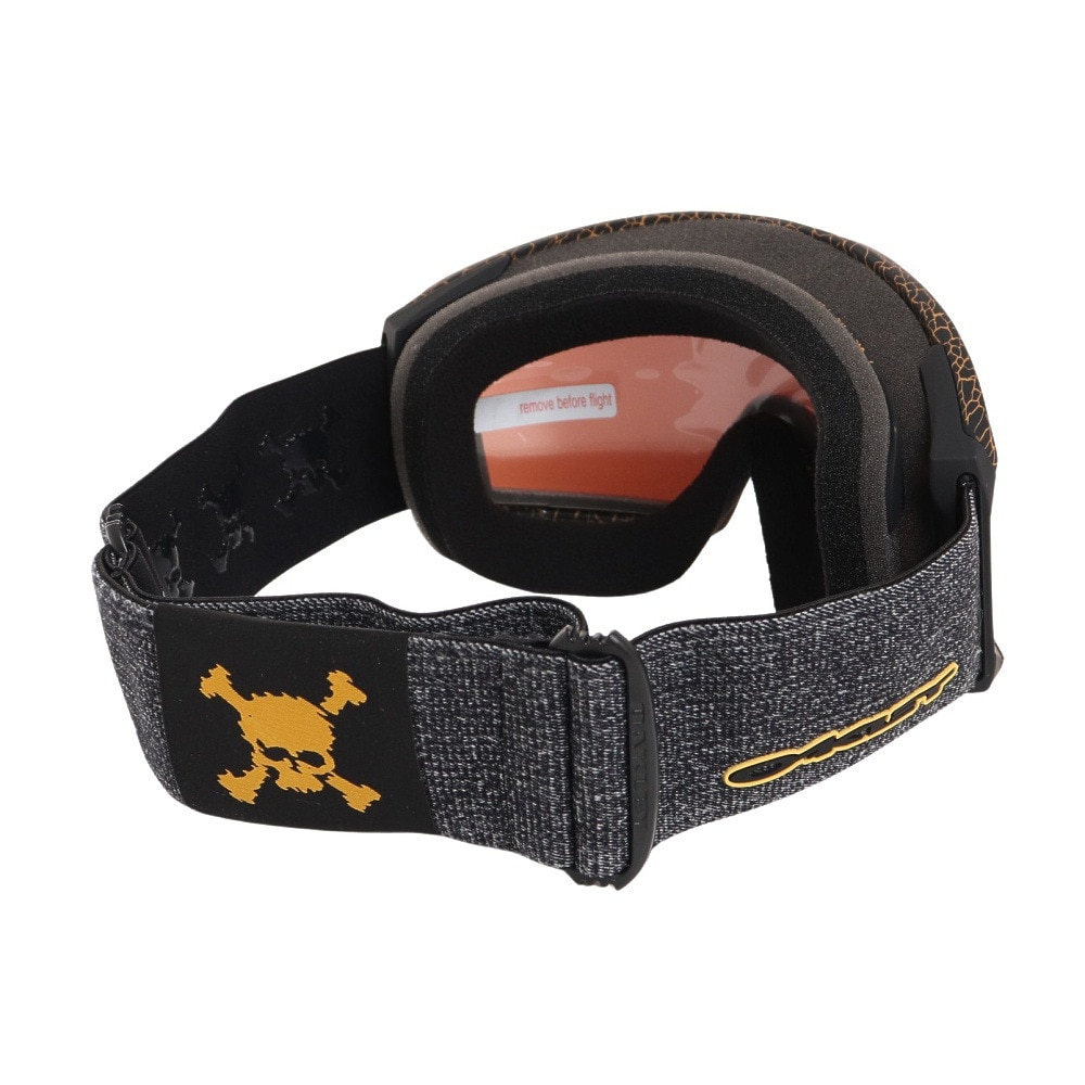 オークリー（OAKLEY）（メンズ）ゴーグル スキー スノーボード スノボ 眼鏡対応 22-23 ラインマイナー スノーゴーグル 7070E101