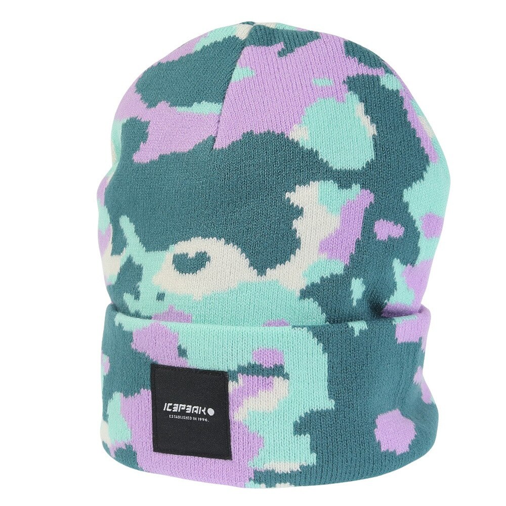 アイスピーク（ICEPEAK）（メンズ、レディース）帽子 ビーニー ICEPEAK HARCOURT 4 58808 953