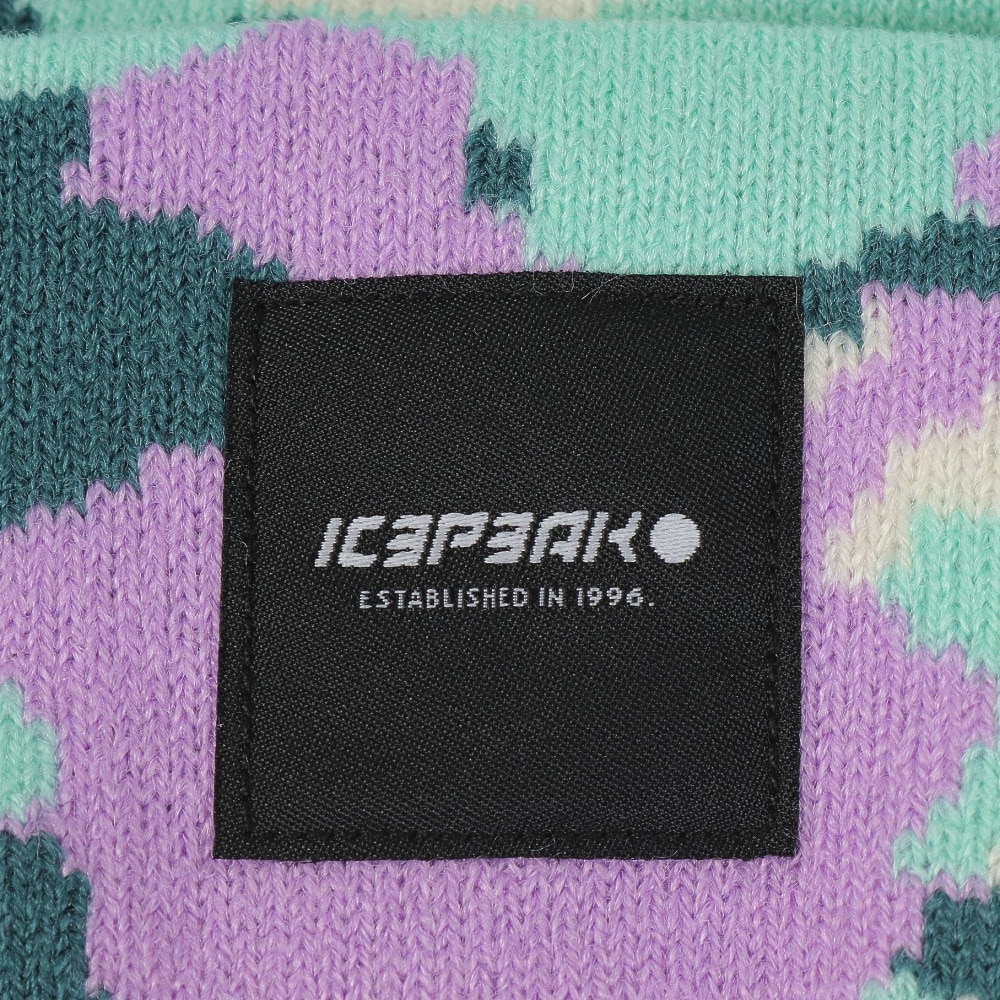 アイスピーク（ICEPEAK）（メンズ、レディース）帽子 ビーニー ICEPEAK HARCOURT 4 58808 953