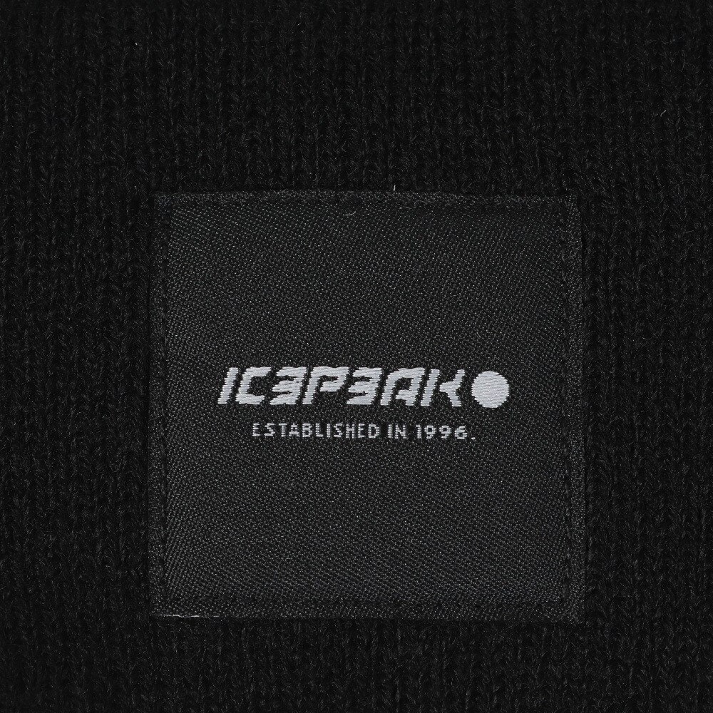 アイスピーク（ICEPEAK）（メンズ、レディース）帽子 ビーニー ICEPEAK HARCOURT 4 58808 990