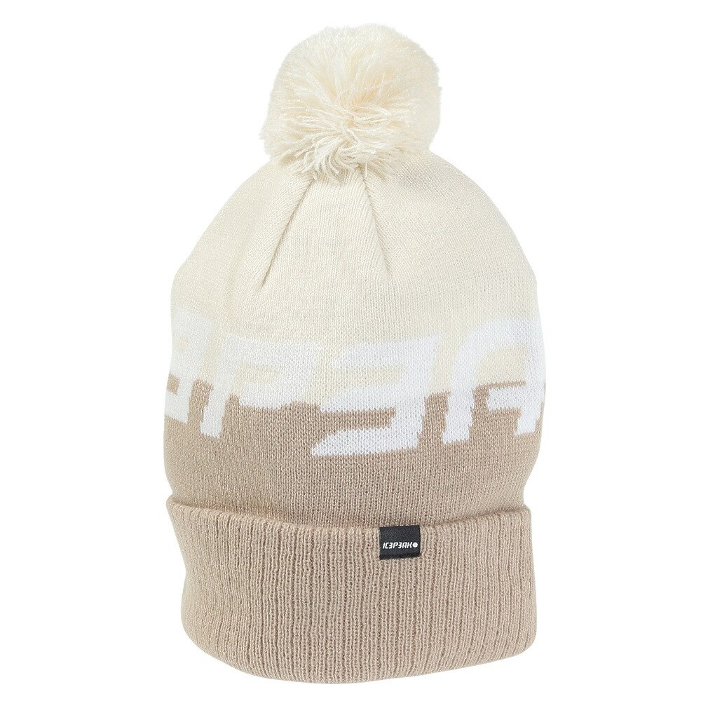 アイスピーク（ICEPEAK）（メンズ、レディース）帽子 ニット帽 ICEPEAK HALLSBURG 4 58825 230