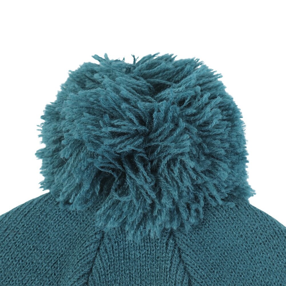 アイスピーク（ICEPEAK）（メンズ、レディース）帽子 ニット帽 ICEPEAK HALLSBURG 4 58825 655