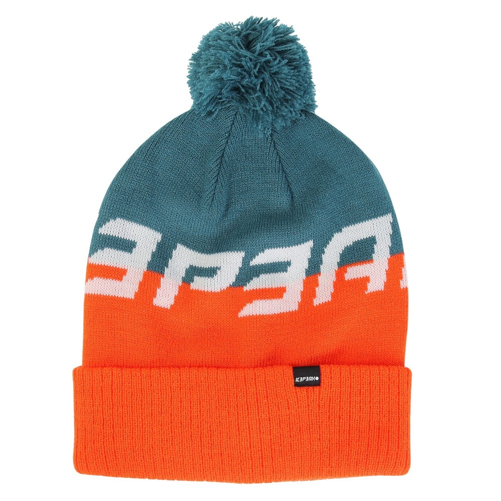アイスピーク（ICEPEAK）（メンズ、レディース）帽子 ニット帽 ICEPEAK HALLSBURG 4 58825 655