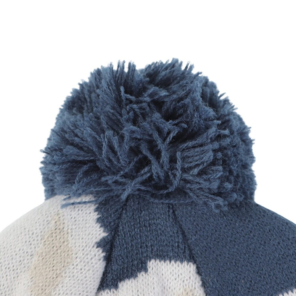 アイスピーク（ICEPEAK）（メンズ、レディース）帽子 ニット帽 ICEPEAK HALLSBURG 4 58825 775