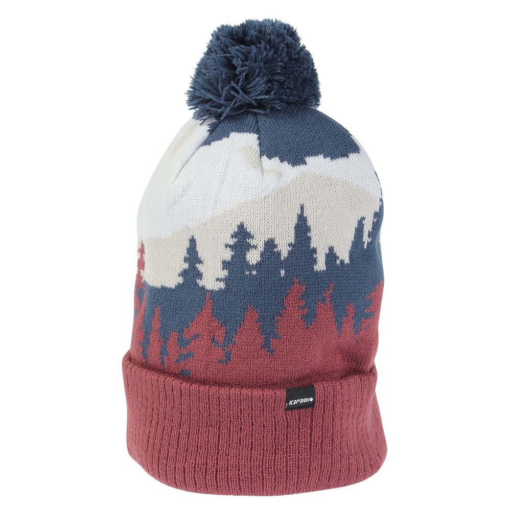 アイスピーク（ICEPEAK）（メンズ、レディース）帽子 ニット帽 ICEPEAK HALLSBURG 4 58825 775