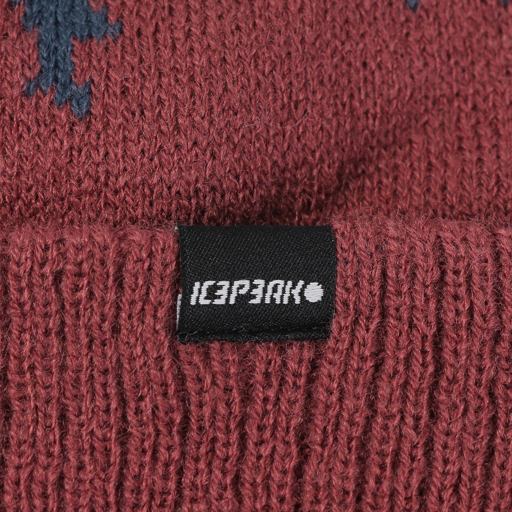 アイスピーク（ICEPEAK）（メンズ、レディース）帽子 ニット帽 ICEPEAK HALLSBURG 4 58825 775