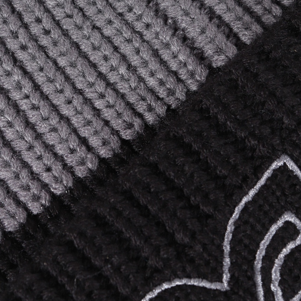 オークリー（OAKLEY）（メンズ、レディース）帽子 ビーニー Tnp Deep Cuff Beanie FOS901285-02E