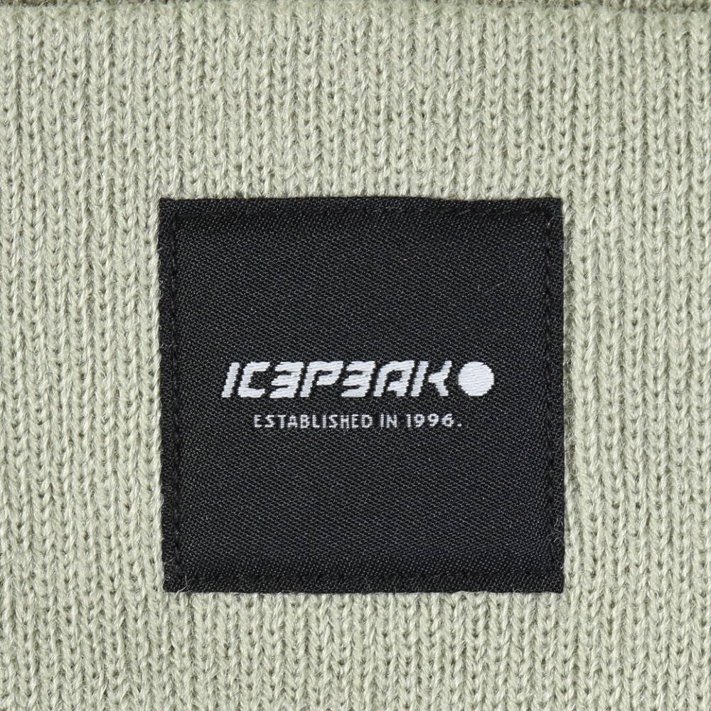アイスピーク（ICEPEAK）（メンズ、レディース）HARCOURT ニット帽 58808 850 527