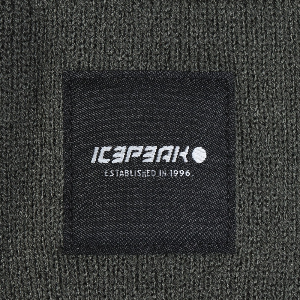 アイスピーク（ICEPEAK）（メンズ、レディース）HARCOURT ニット帽 58808 850 595