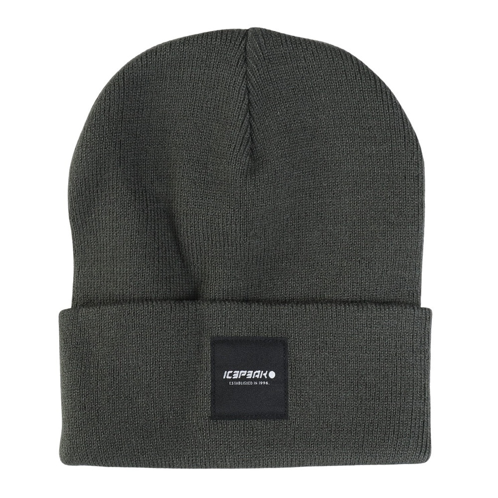 アイスピーク（ICEPEAK）（メンズ、レディース）HARCOURT ニット帽 58808 850 595