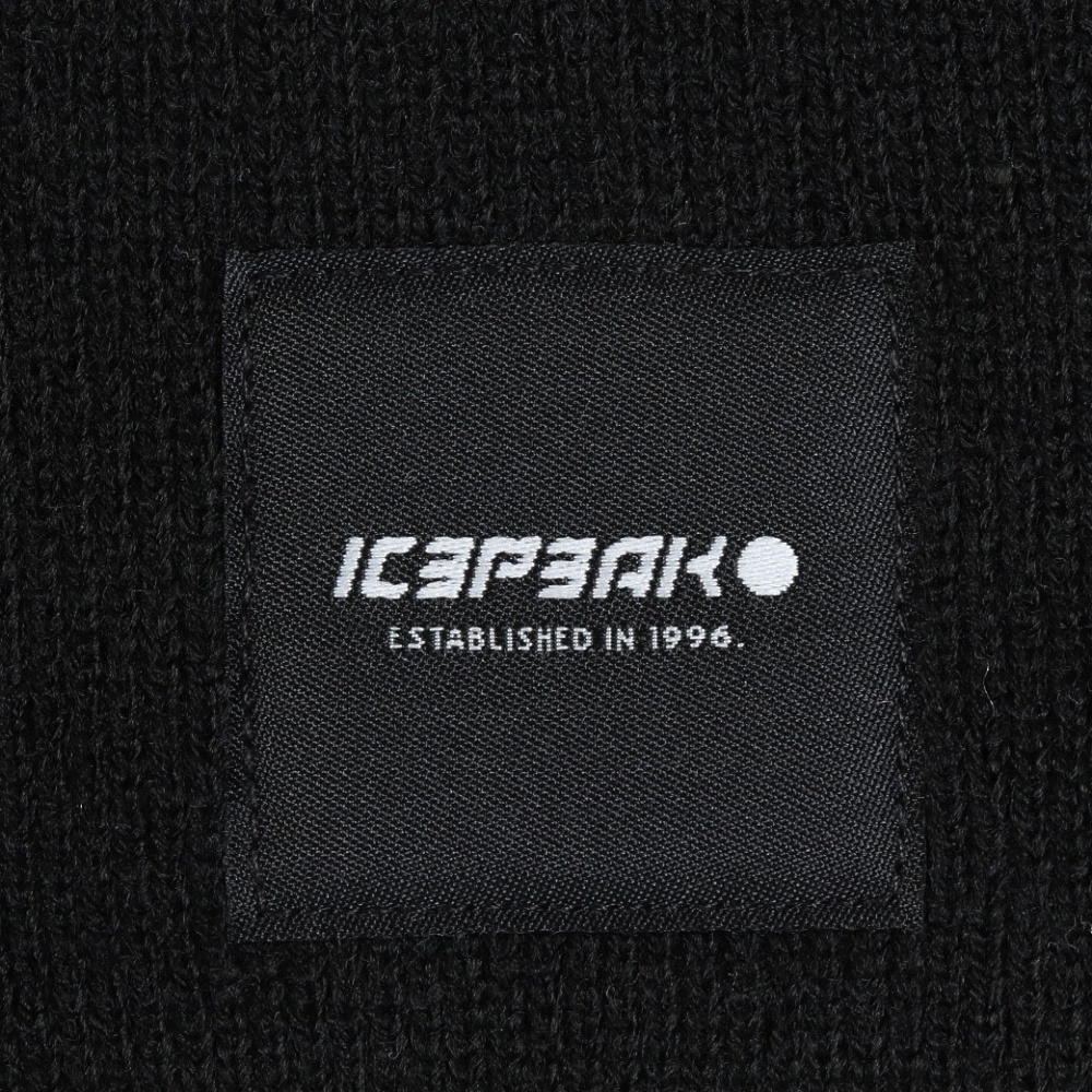 アイスピーク（ICEPEAK）（メンズ、レディース）HARCOURT ニット帽 58808 850 990