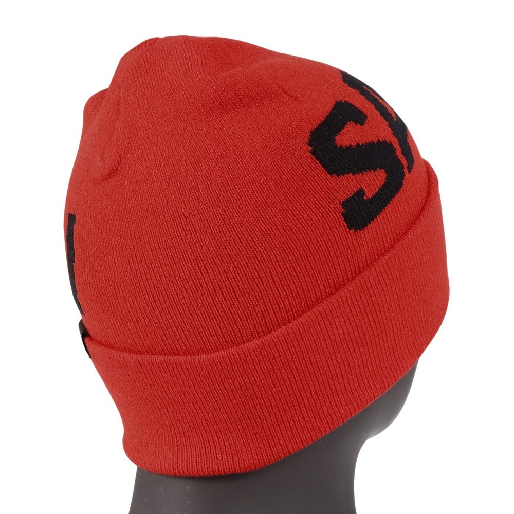 サロモン（SALOMON）（メンズ、レディース）帽子 HERMITAGE ビーニー LC2302900