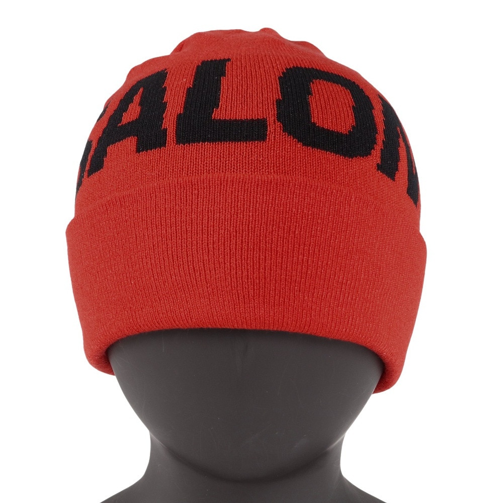 サロモン（SALOMON）（メンズ、レディース）帽子 HERMITAGE ビーニー LC2302900