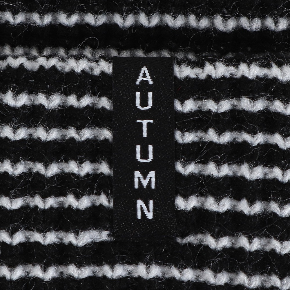 AUTUMN（メンズ、レディース）ビーニー ニット帽 AT24 STRIPE BLACK