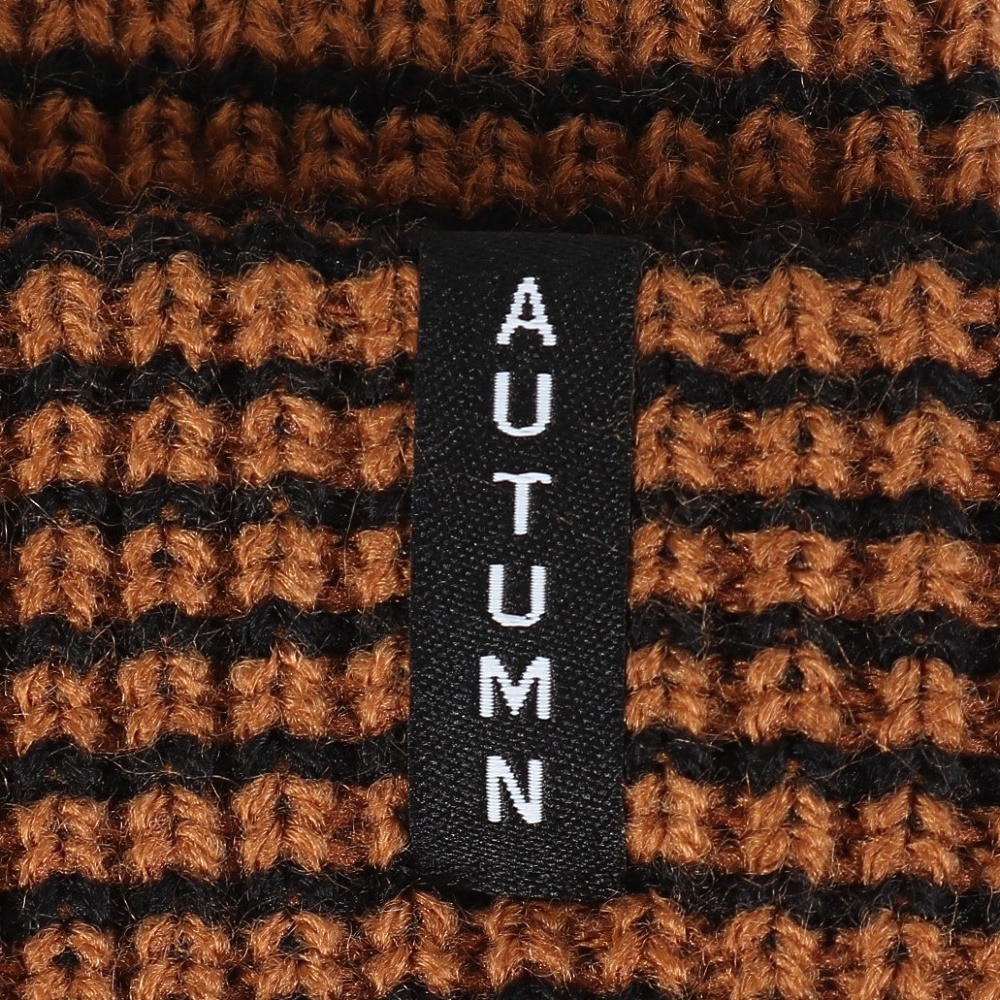 AUTUMN（メンズ、レディース）ビーニー ニット帽 AT24 STRIPE NUT
