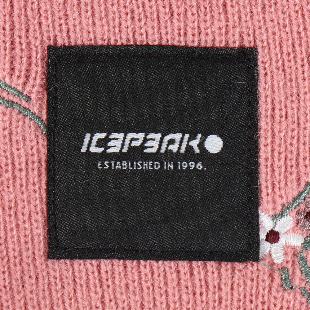アイスピーク（icepeak）（メンズ、レディース）帽子 プロパーニット HARCOURT 58808 850 621