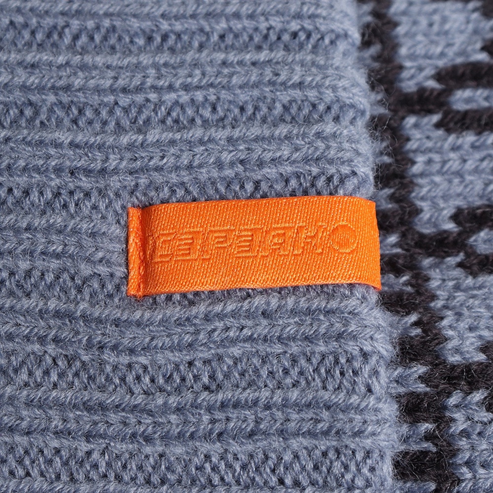 アイスピーク（ICEPEAK）（メンズ、レディース）HULL ニット帽 58810 850 230