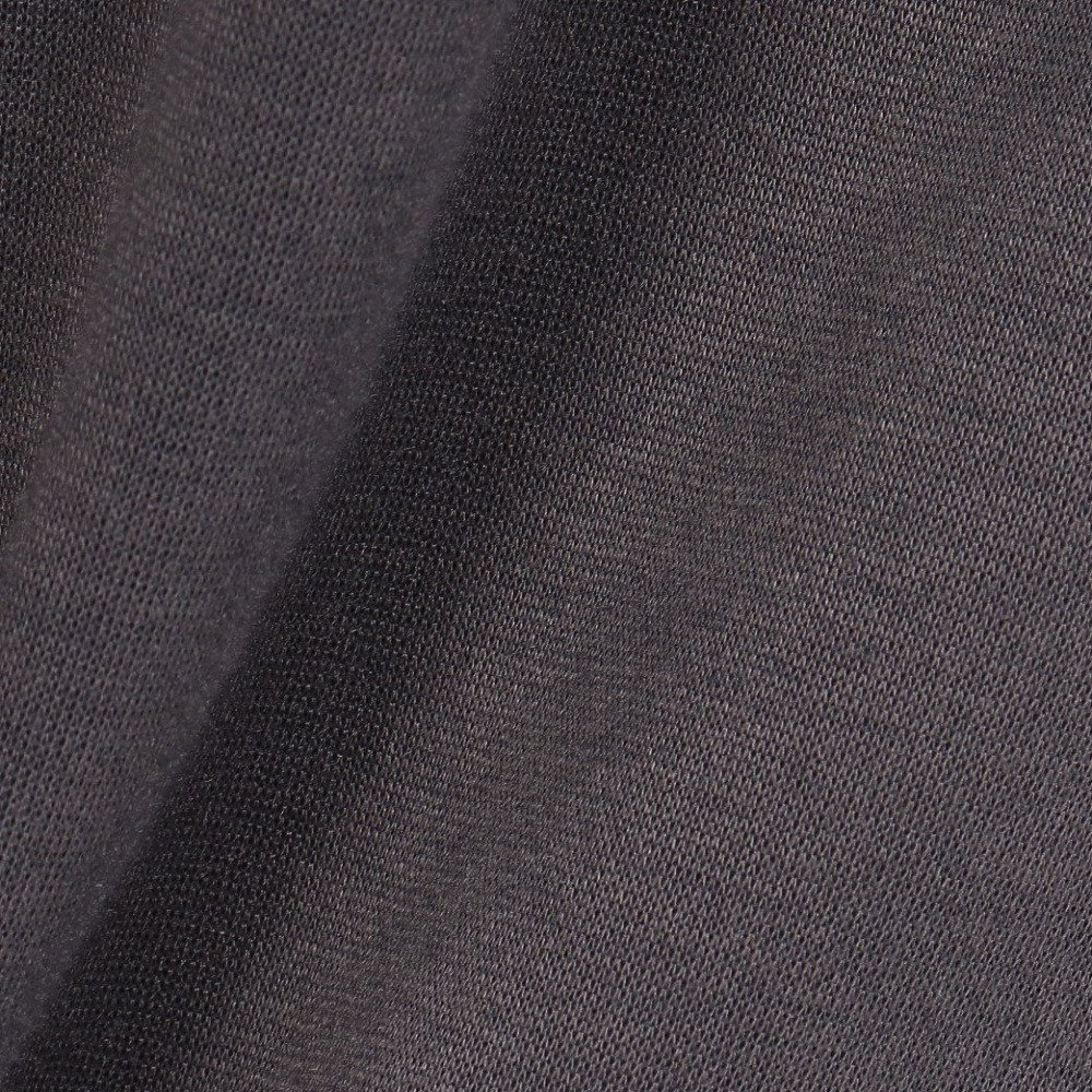 シュトロイレ（STREULE）（メンズ）スキー タートルシャツ ST25FB0059 CGRY