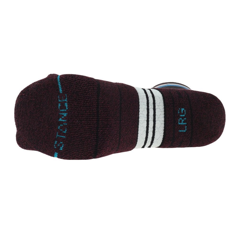 スタンス（STANCE）（メンズ、レディース）ソックス 靴下 MALIBOO SNOW A758C22MAL NVY