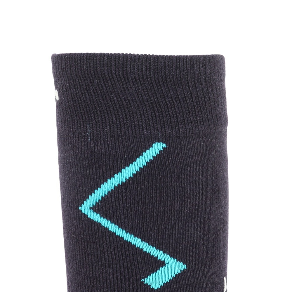 デサント（DESCENTE）（メンズ）スキー ソックス DWAWJB60 MLB