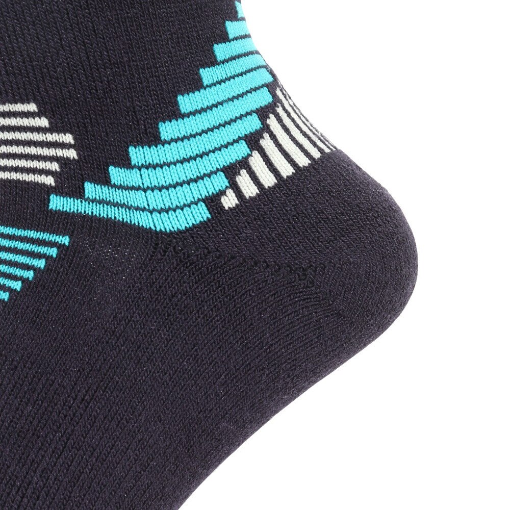 デサント（DESCENTE）（メンズ）スキー ソックス DWAWJB60 MLB