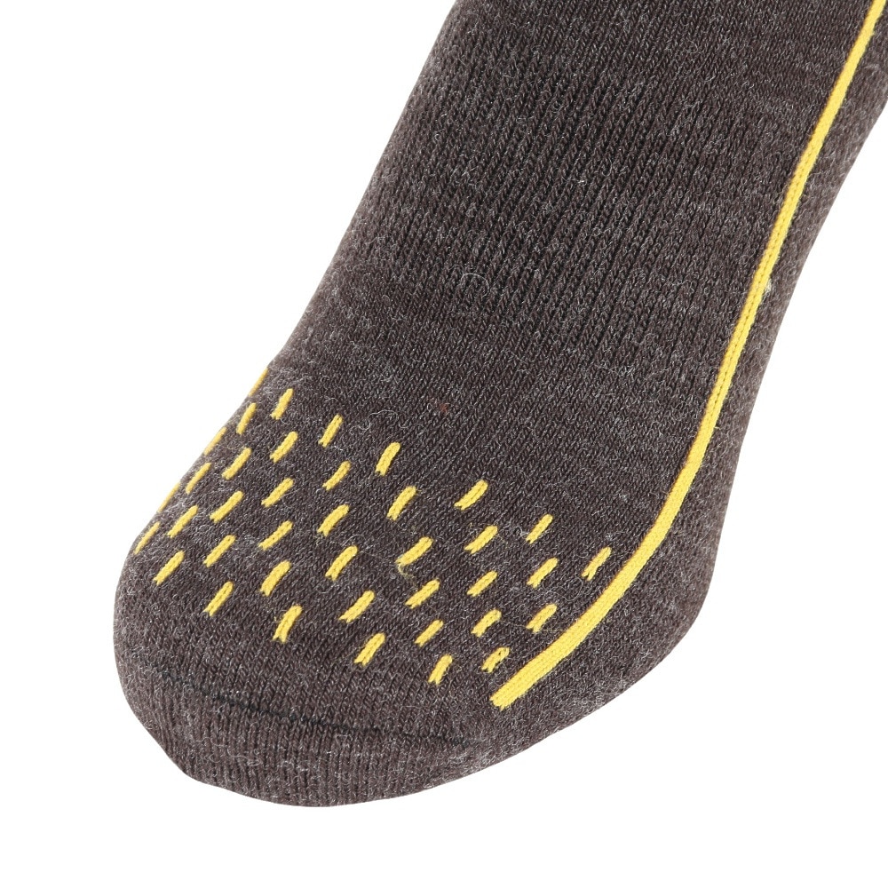 デサント（DESCENTE）（メンズ）スキー ソックス DWAWJB62 CH2