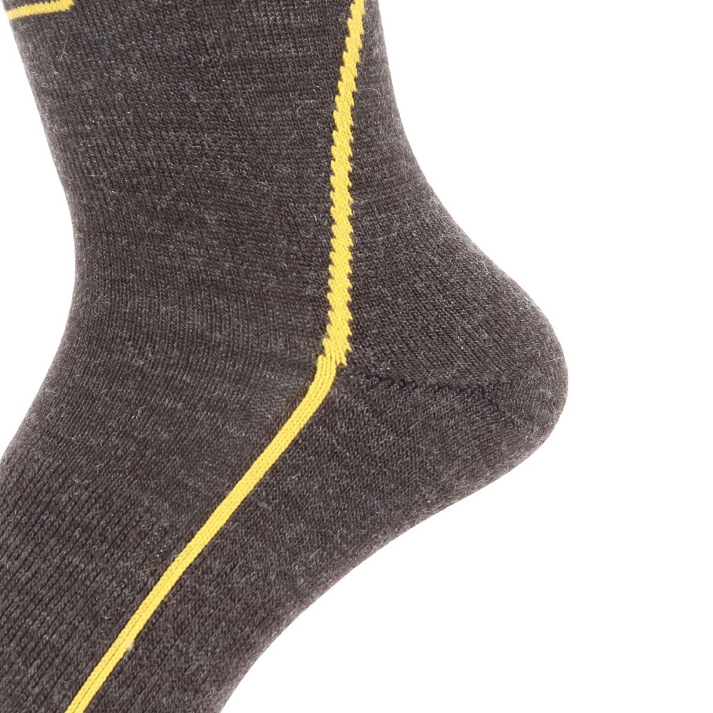 デサント（DESCENTE）（メンズ）スキー ソックス DWAWJB62 CH2