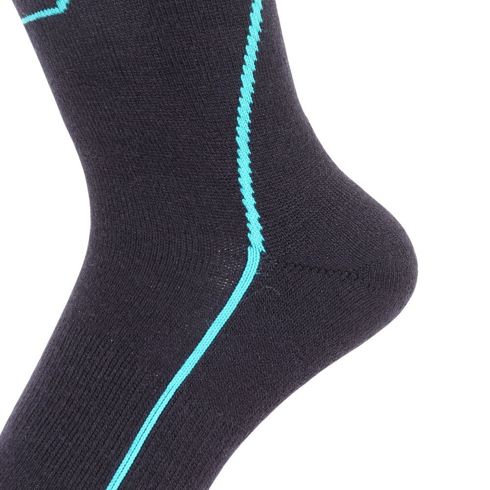 デサント（DESCENTE）（メンズ）スキー ソックス DWAWJB62 MLB