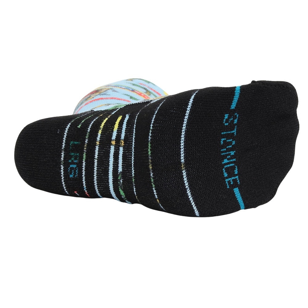 スタンス（STANCE）（メンズ）スキー スノーボード ソックス 男女兼用 POPS SNOW A758C23POP LBL