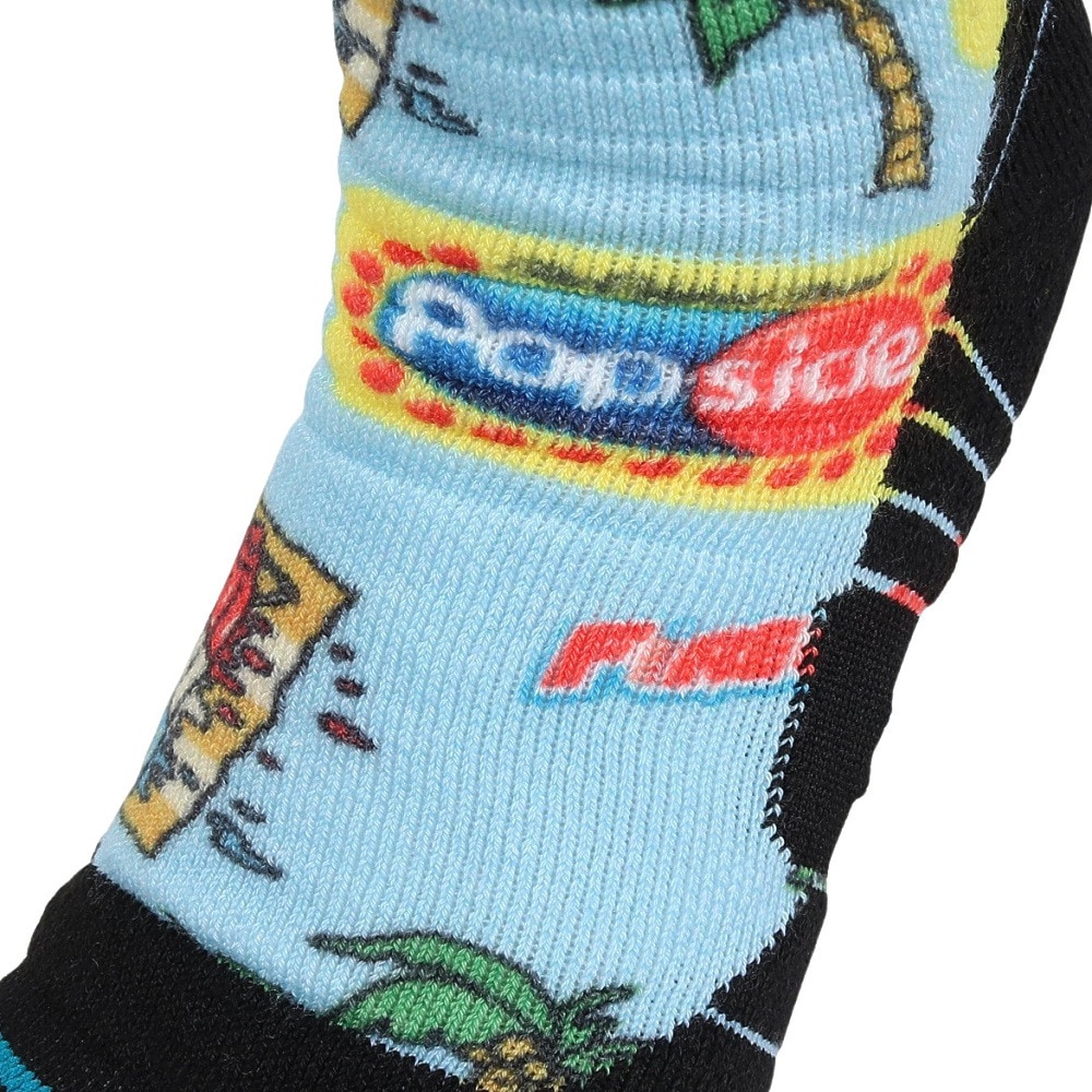 スタンス（STANCE）（メンズ）スキー スノーボード ソックス 男女兼用 POPS SNOW A758C23POP LBL