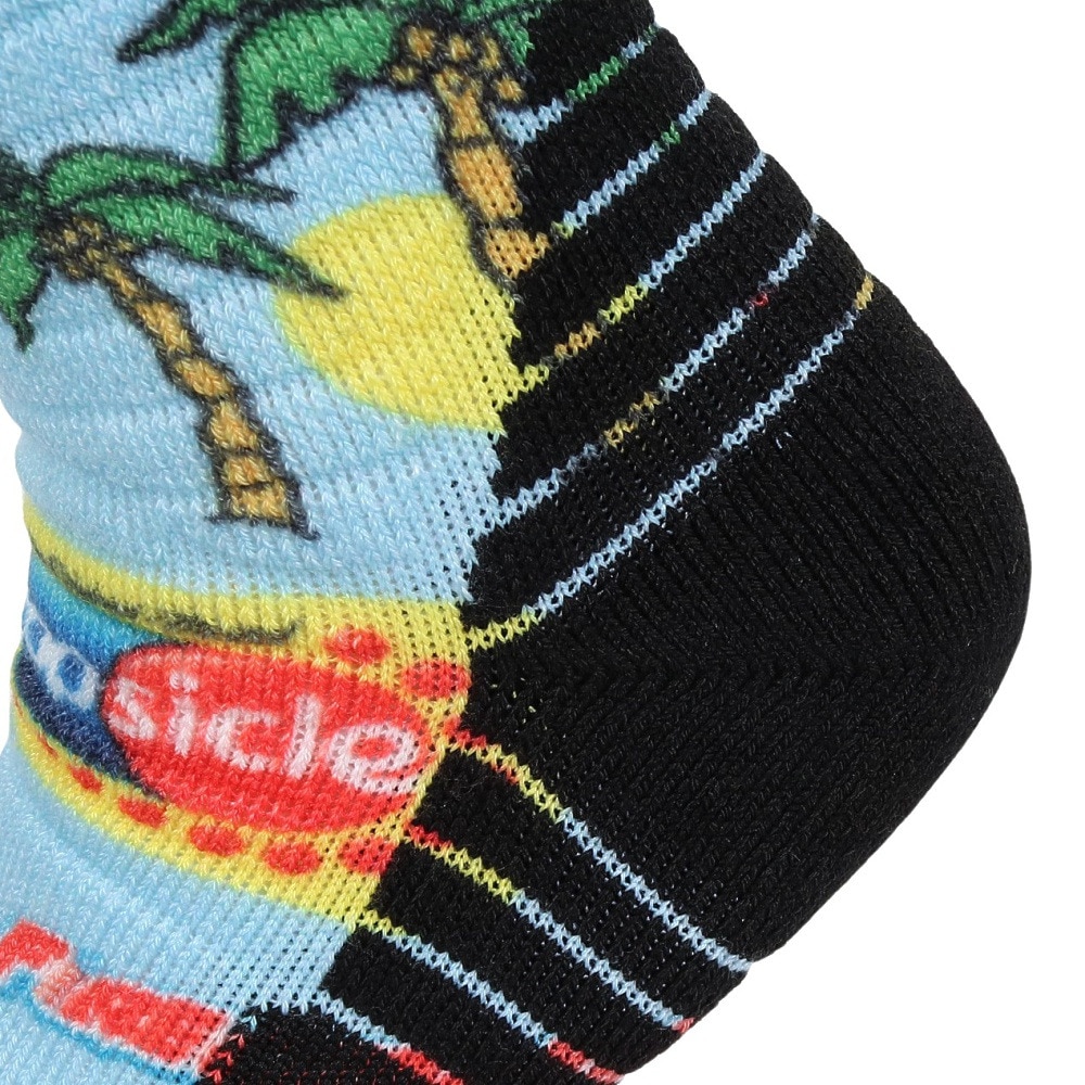 スタンス（STANCE）（メンズ）スキー スノーボード ソックス 男女兼用 POPS SNOW A758C23POP LBL