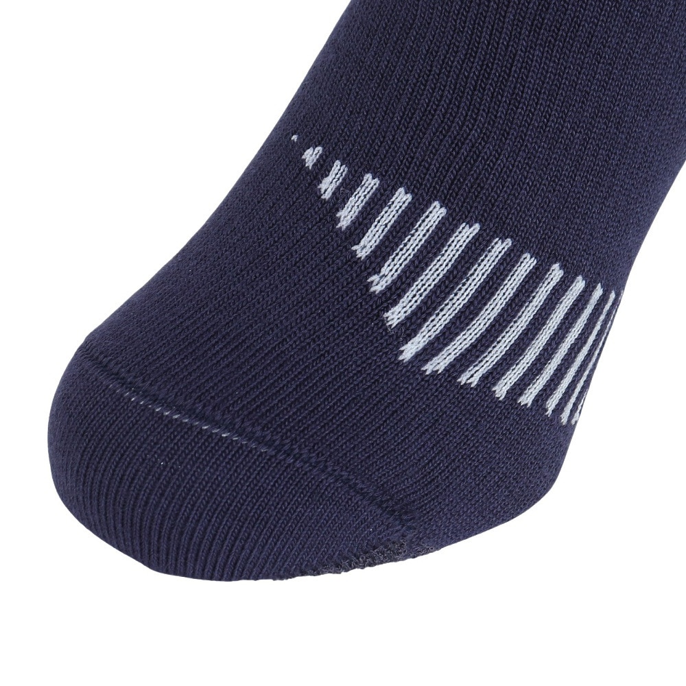 デサント（DESCENTE）（メンズ）スキー MOVE ソックス DW4FSO50U NV00