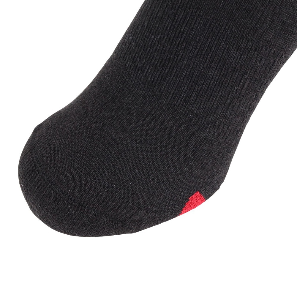 デサント（DESCENTE）（メンズ）スキー ソックス DW4FSO52M BK01